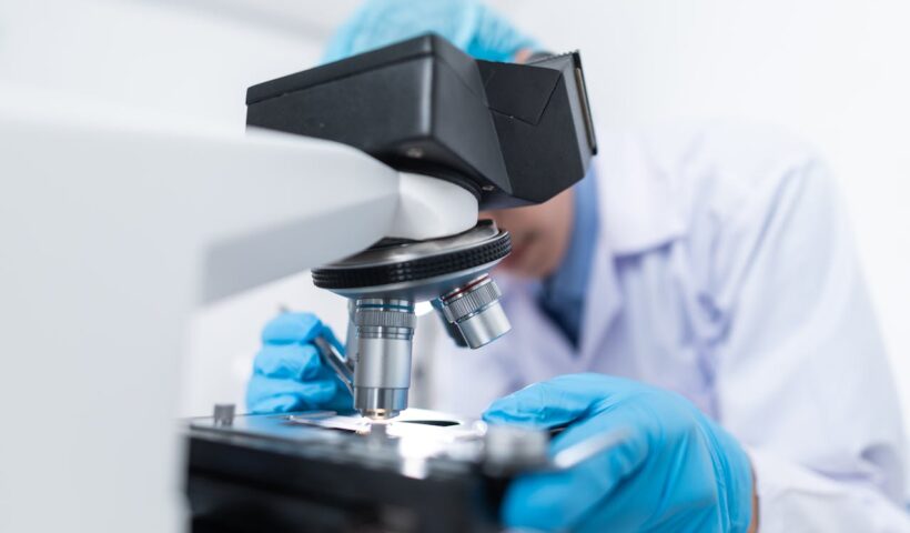 Miért „láthatatlanok” egyes daganatok az immunrendszer számára?