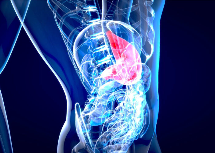 Egyre többeket érint: a májbetegség már a negyedik leggyakoribb krónikus halálok Magyarországon